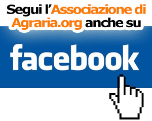 Seguici anche su Facebook!